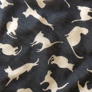 🐾Cat scarf, black and gray sheer🐾
